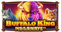 Buffalo king magaways