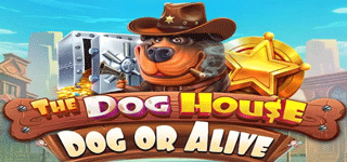 The Dog House – Dog or Alive สล็อตรีวิว